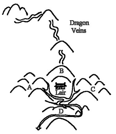 dragon veins